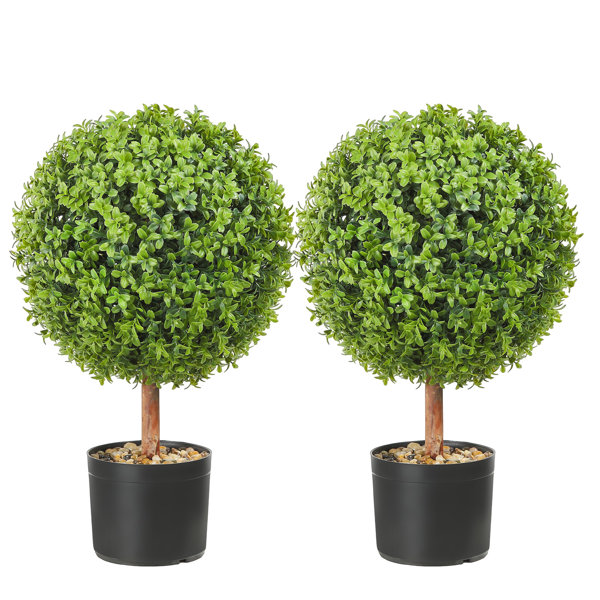 Primrue 24" Artificial Boxwood Topiary In Pot & Reviews | Wayfair